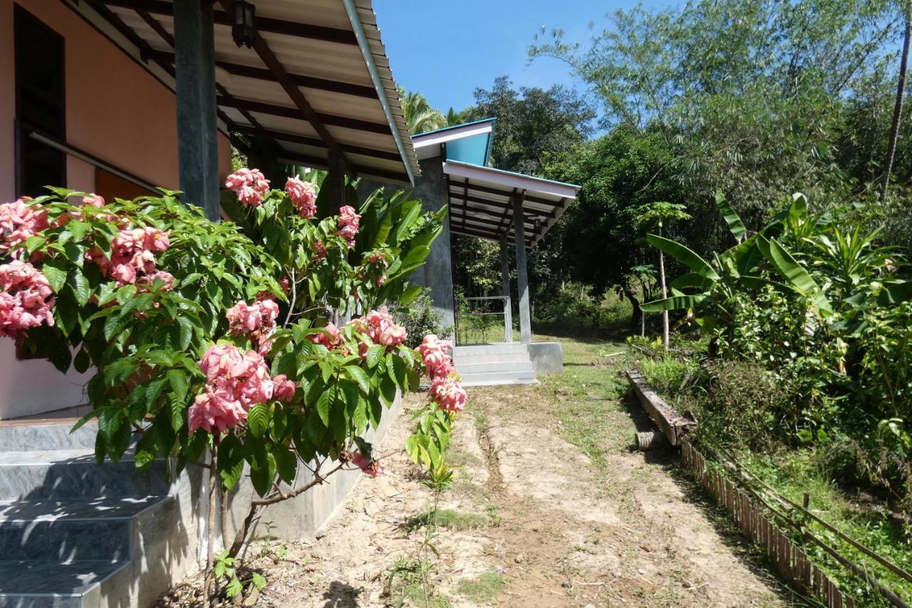 Chom Suan Homestay Ko Kut Exteriör bild